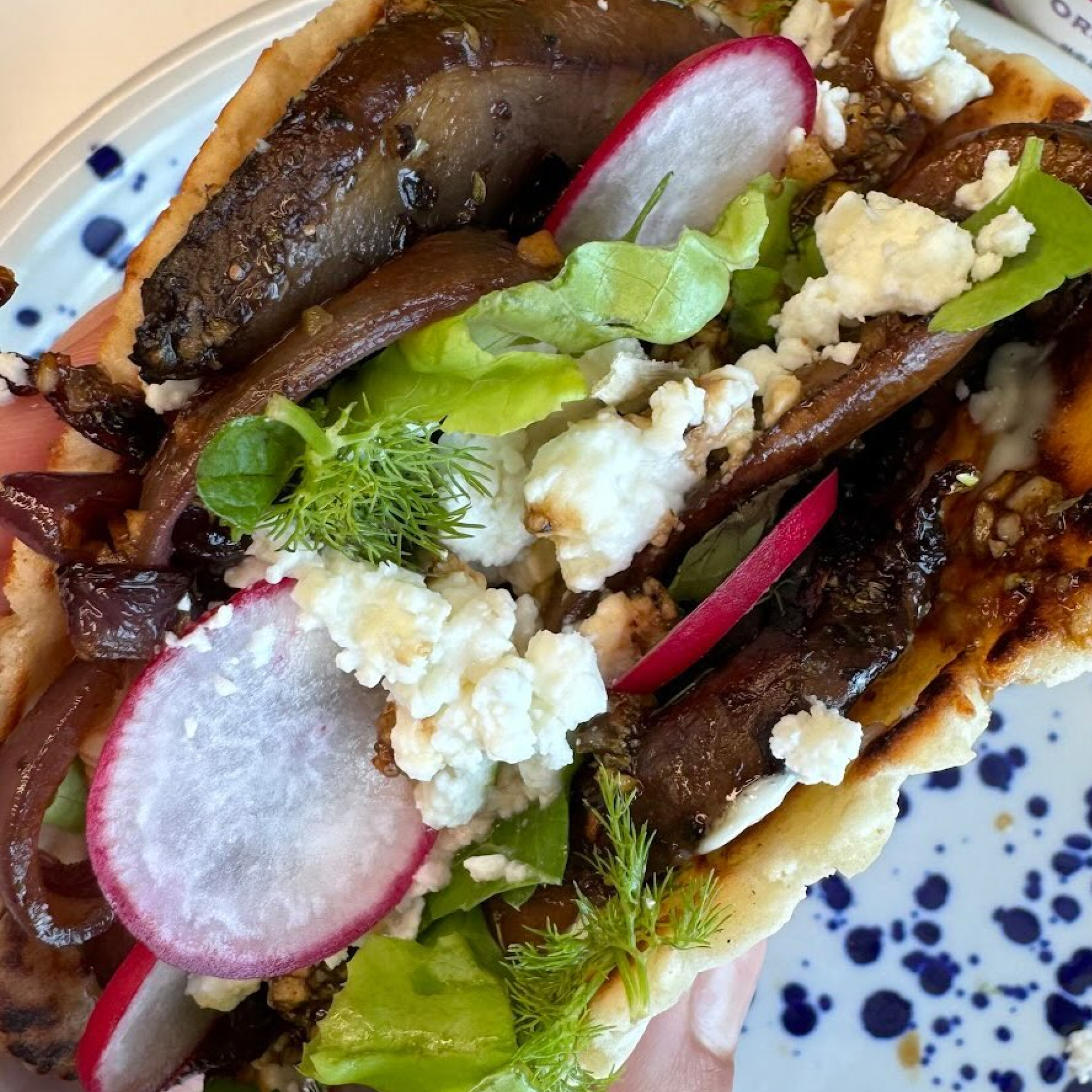 Umami Mushroom Pita