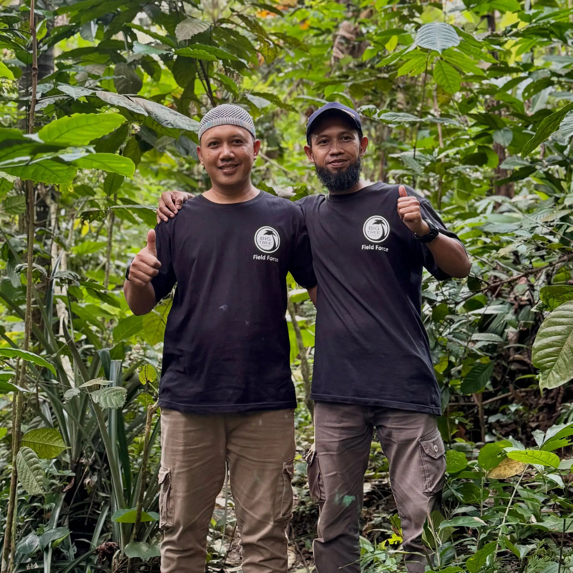 Big Tree Farms - Impact Every Bite