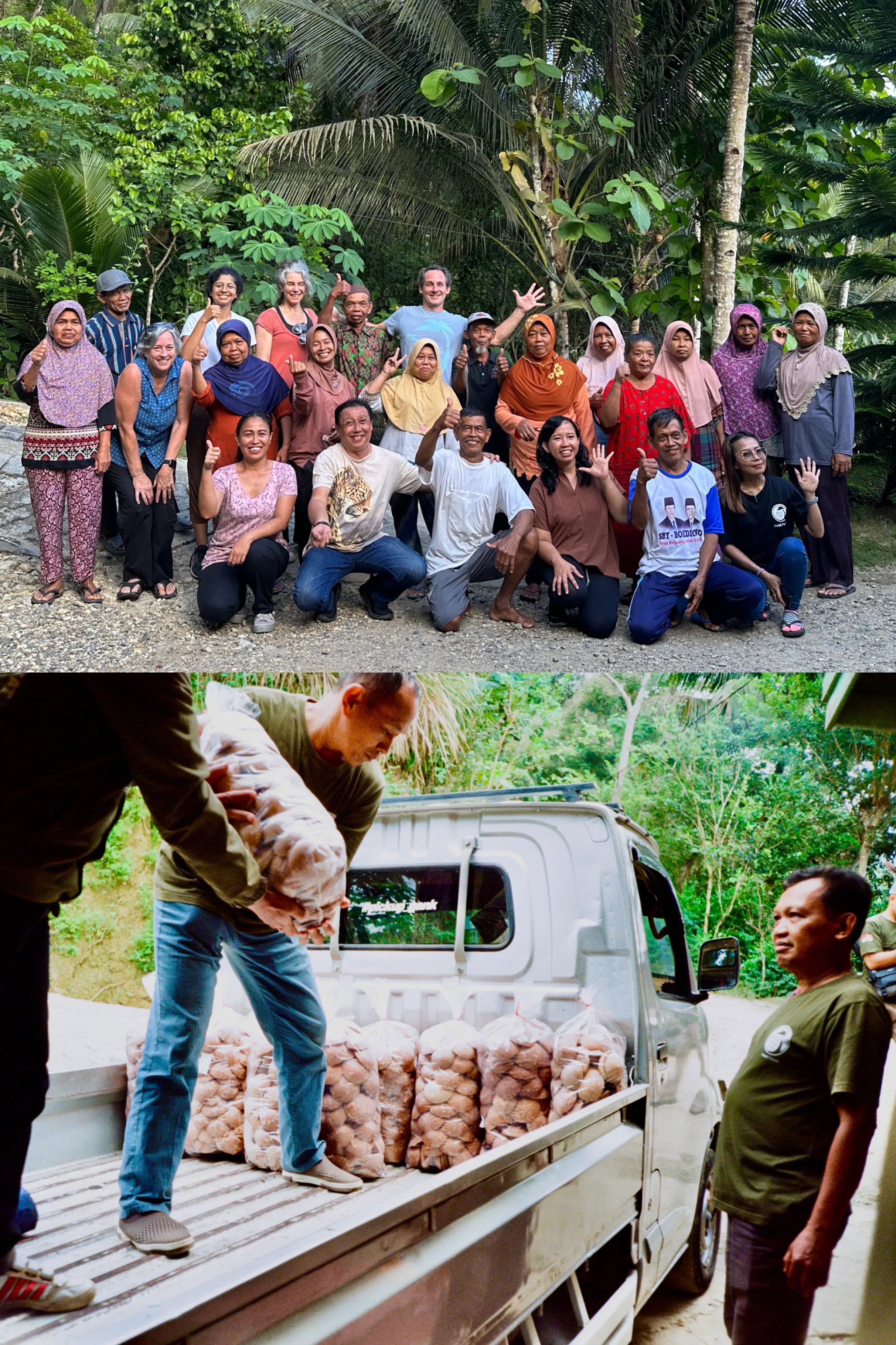 Big Tree Farms - About - Direct Farmers