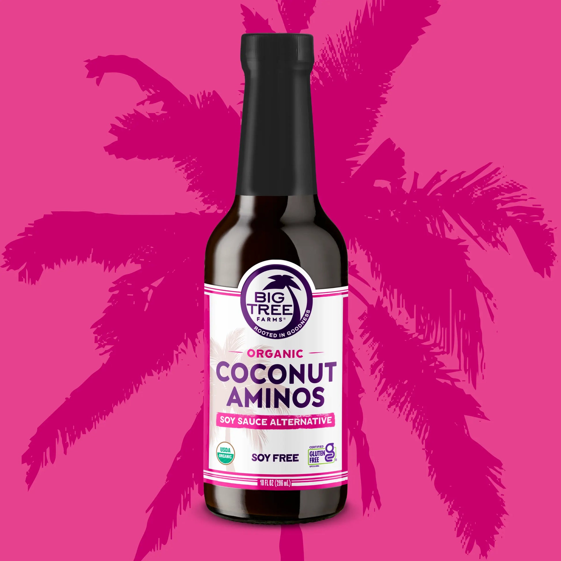 Big Tree Farms Organic Coco Aminos, Original, 10 fl oz