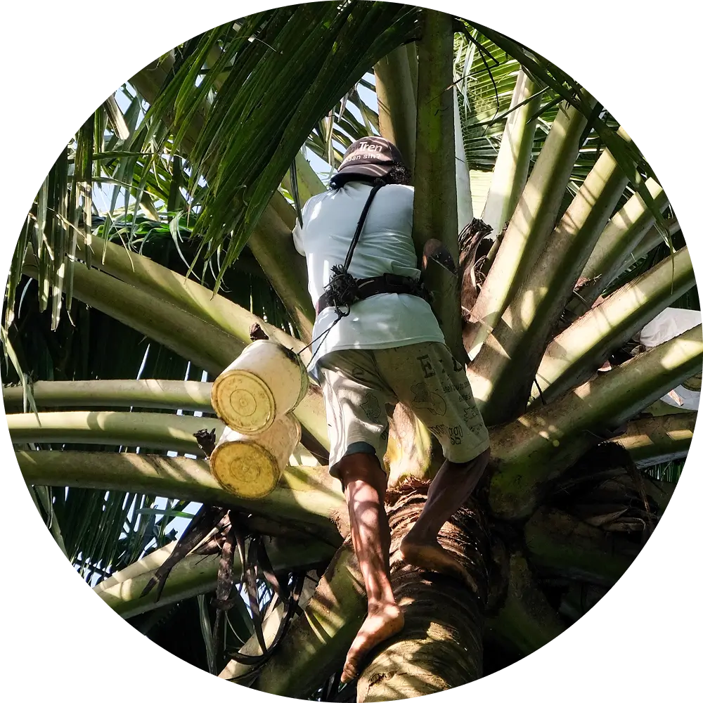 Big Tree Farms - Social Impact - Regenerative Practices