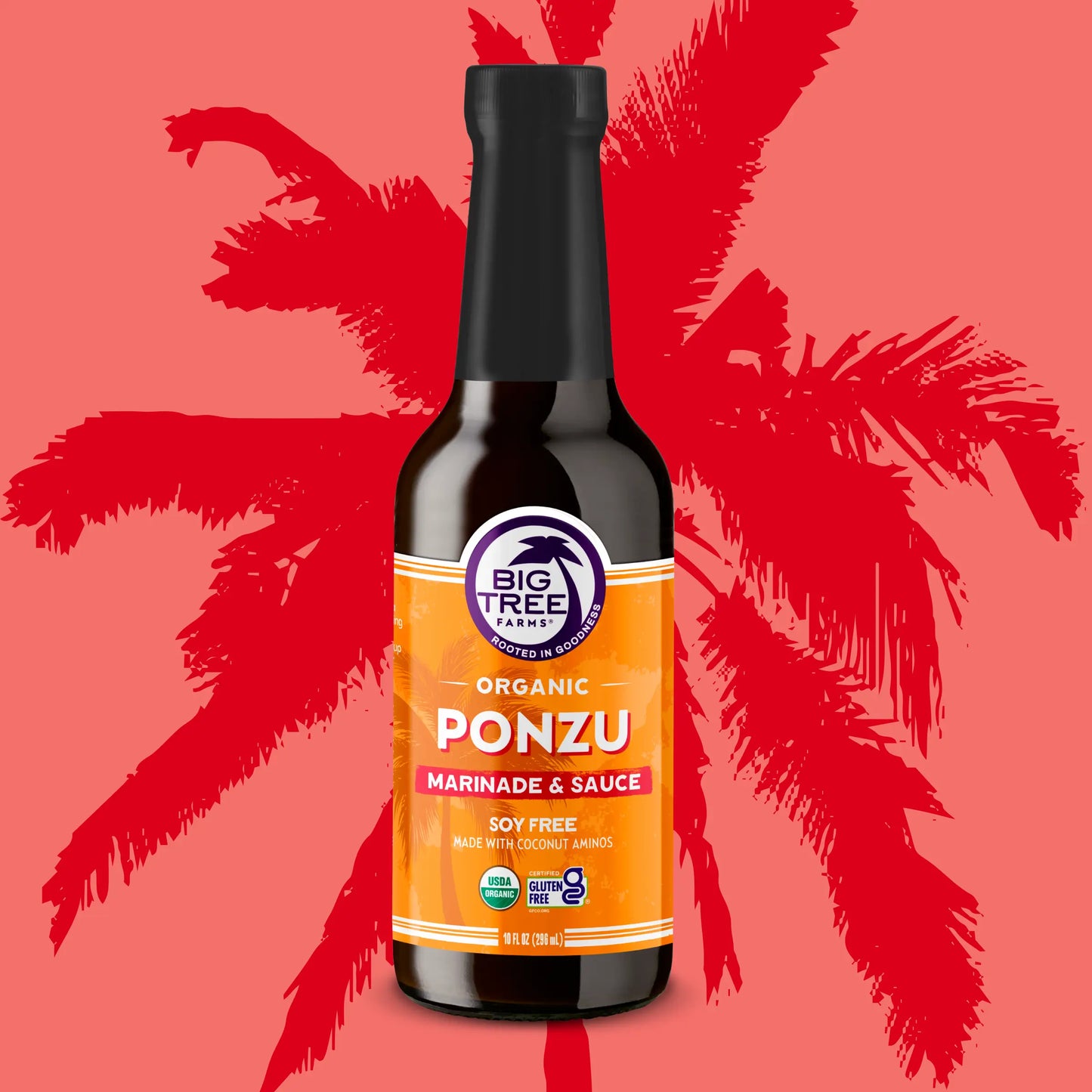 Big Tree Farms - PDP - Sauces Ponzu - Front
