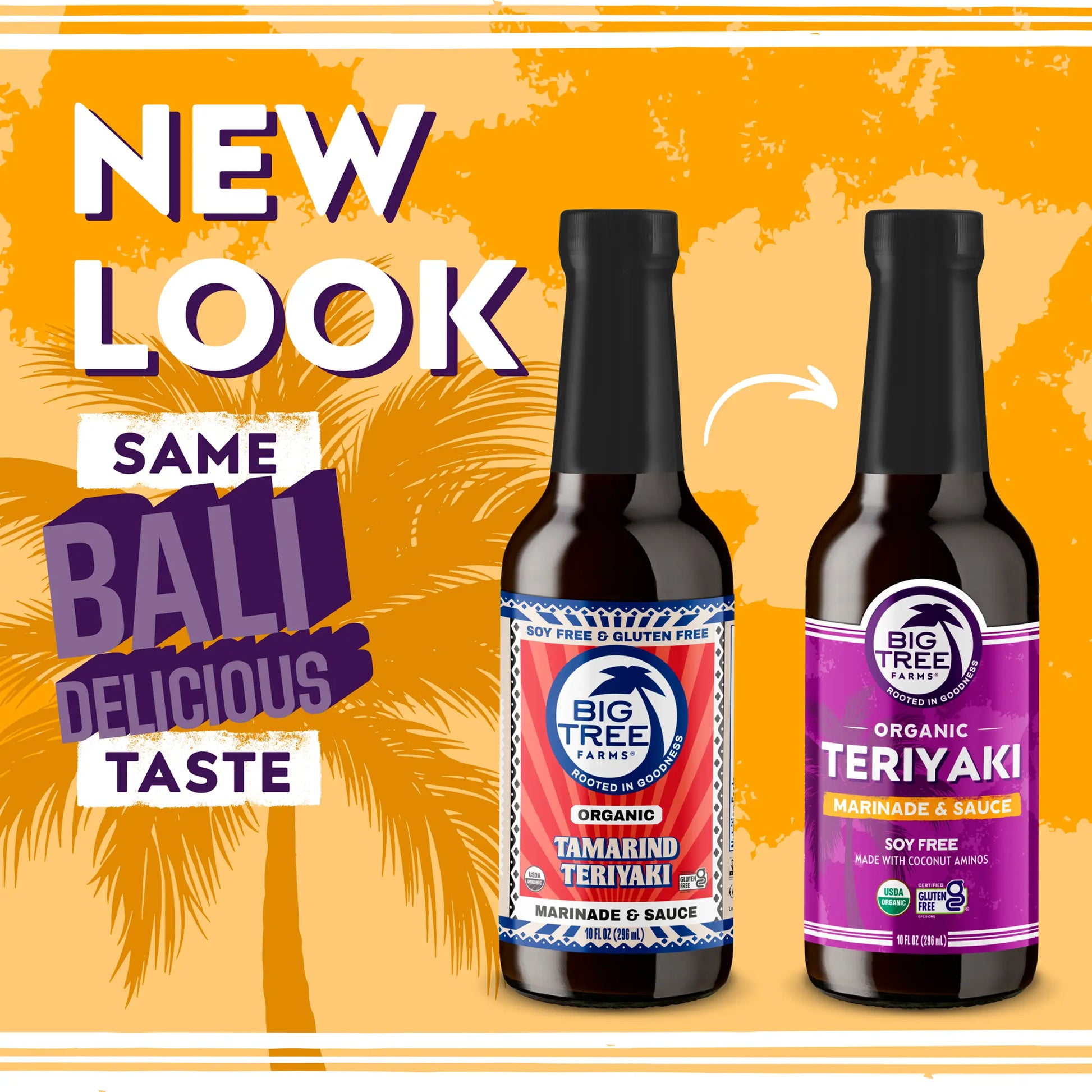 Big Tree Farms - PDP - Sauces Teriyaki - New Look