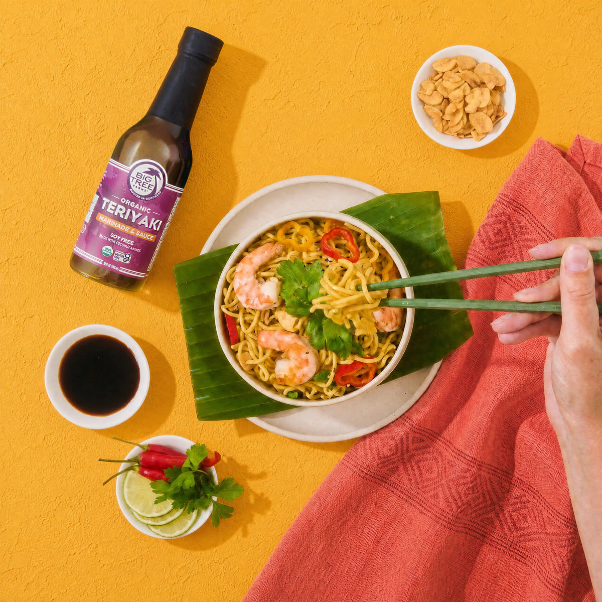 ORGANIC TERIYAKI MARINADE & SAUCE – Big Tree Farms